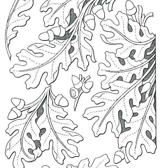 тиснения на коже