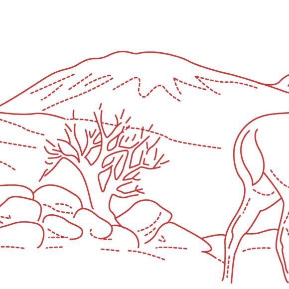 Рисунок для тиснения на коже олень