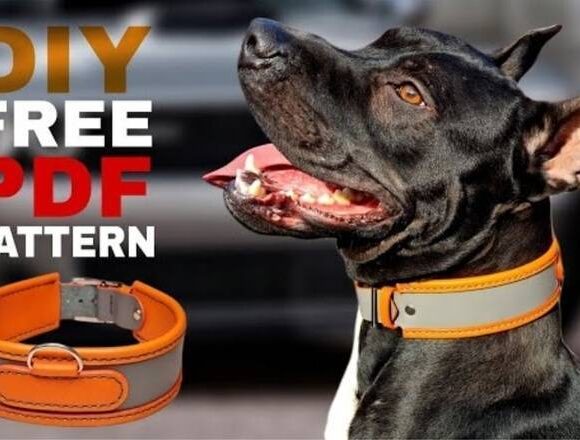 Ошейник для собак от Caspia Leather