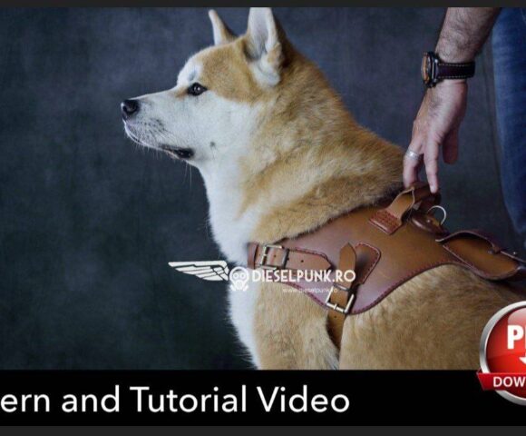 Выкройка для собак