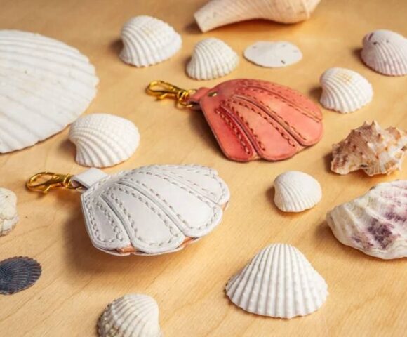 Раковина моллюска