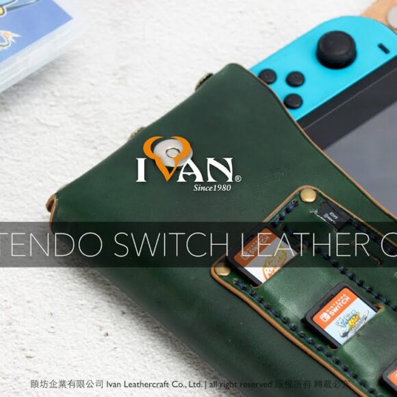 Чехол для игровой консоли Nintendo