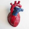 Игольница в виде анатомического сердца
