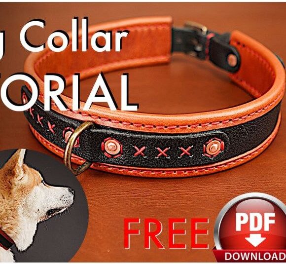 выкройка Ошейник для собаки
